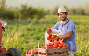 Iss Como Funciona Para Produtores Rurais - Lider Soluções Contábeis